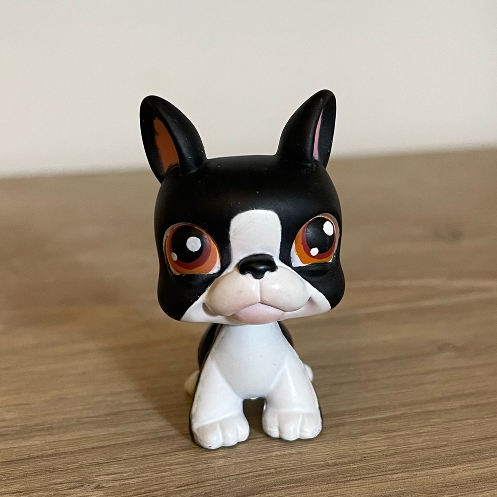 2004 Littlest Pet Shop Boston Terrier